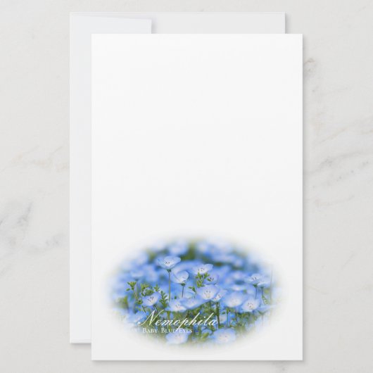 NEMOPHILA（Baby Blue Eyes） Briefpapier (Voorkant)