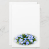 NEMOPHILA（Baby Blue Eyes） Briefpapier (Voorkant / Achterkant)