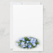 NEMOPHILA（Baby Blue Eyes） Briefpapier (Voorkant)