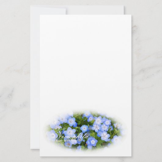 NEMOPHILA（Baby Blue Eyes） Briefpapier (Voorkant)