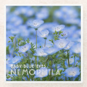 NEMOPHILA(Baby Blue Eyes) Glazen Onderzetter (Voorkant)