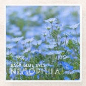 NEMOPHILA（Baby Blue Eyes） Glazen Onderzetter (Voorkant)