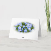 NEMOPHILA（Baby Blue Eyes） Kaart (Achterkant)