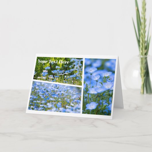 NEMOPHILA（Baby Blue Eyes） Kaart (Voorkant)