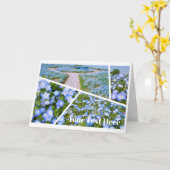 NEMOPHILA（Baby Blue Eyes） Kaart (Gele Bloem)