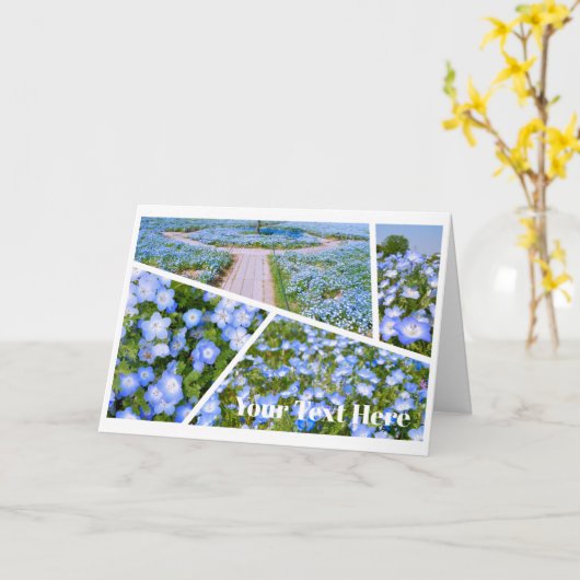 NEMOPHILA（Baby Blue Eyes） Kaart (Gele Bloem)