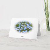 NEMOPHILA（Baby Blue Eyes） Kaart (Achterkant)