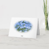 NEMOPHILA（Baby Blue Eyes） Kaart (Achterkant)