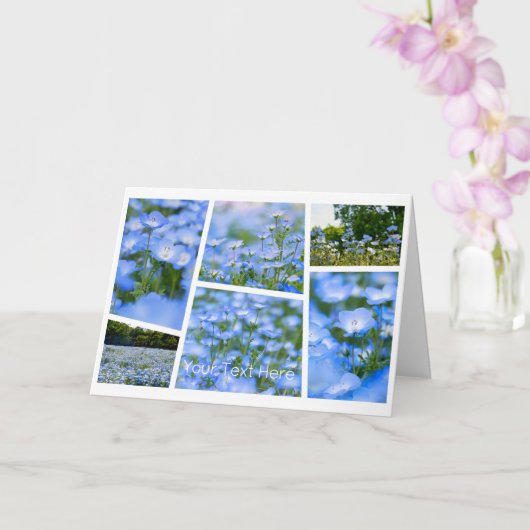 NEMOPHILA（Baby Blue Eyes） Kaart (Orchidee)