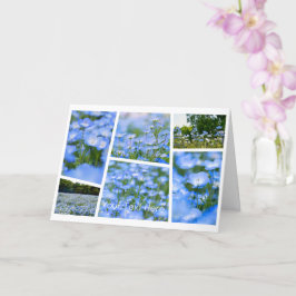 NEMOPHILA（Baby Blue Eyes） Kaart