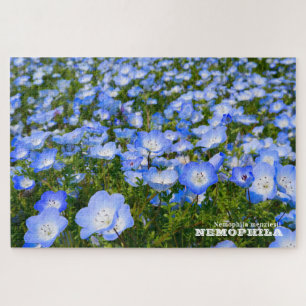 NEMOPHILA(Baby Blue Eyes) Legpuzzel
