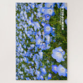 NEMOPHILA(Baby Blue Eyes) Legpuzzel (Verticaal)