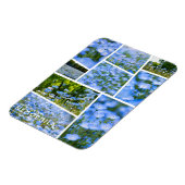 NEMOPHILA (Baby Blue Eyes) Magneet (Linkerzijde)