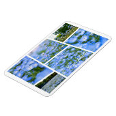 NEMOPHILA (Baby Blue Eyes) Magneet (Linkerzijde)