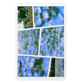 NEMOPHILA (Baby Blue Eyes) Magneet (Verticaal)