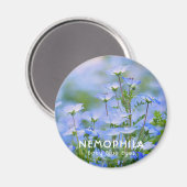 NEMOPHILA (Baby Blue Eyes) Magneet (Voorkant / Achterkant)