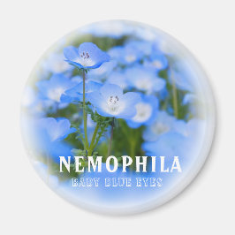 NEMOPHILA (Baby Blue Eyes) Magneet