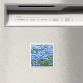 NEMOPHILA (Baby Blue Eyes) Magneet (Insitu (Vaatwasser))