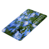 NEMOPHILA (Baby Blue Eyes) Magneet (Linkerzijde)