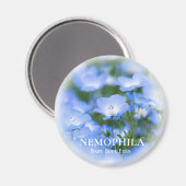 NEMOPHILA (Baby Blue Eyes) Magneet (Voorkant / Achterkant)