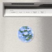 NEMOPHILA (Baby Blue Eyes) Magneet (Insitu (Vaatwasser))