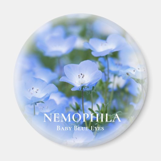 NEMOPHILA (Baby Blue Eyes) Magneet (Voorkant)