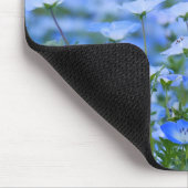 NEMOPHILA(Baby Blue Eyes) Muismat (Hoek)