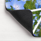 NEMOPHILA（Baby Blue Eyes） Muismat (Hoek)