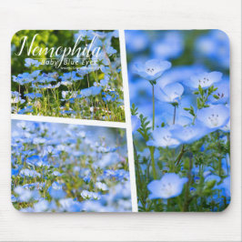 NEMOPHILA（Baby Blue Eyes） Muismat