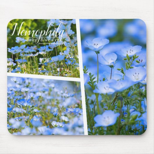 NEMOPHILA（Baby Blue Eyes） Muismat (Voorkant)