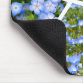 NEMOPHILA（Baby Blue Eyes） Muismat (Hoek)