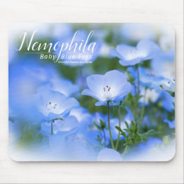 NEMOPHILA (Baby Blue Eyes) Muismat