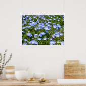 NEMOPHILA（Baby Blue Eyes） Poster (Keuken)