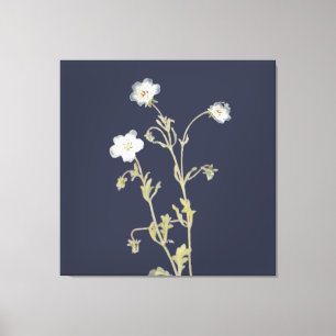 Nemophila Bloemen Canvas Afdruk