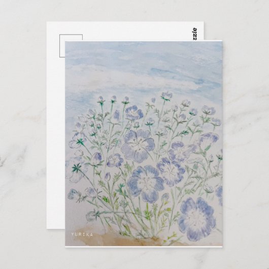 nemophila briefkaart (Voorkant / Achterkant)