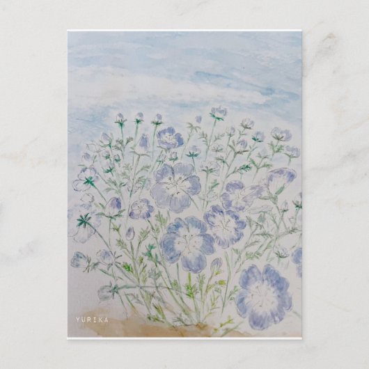 nemophila briefkaart (Voorkant)