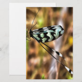 Nemoptera bipennis Spoon-Winged Insect Art Briefpapier (Voorkant / Achterkant)