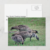 Nene Briefkaart (Voorkant / Achterkant)