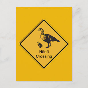 Nene Crossing, Traffic Warning Sign, Hawaii, Veren Briefkaart
