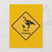 Nene Crossing, Traffic Warning Sign, Hawaii, Veren Briefkaart (Voorkant)