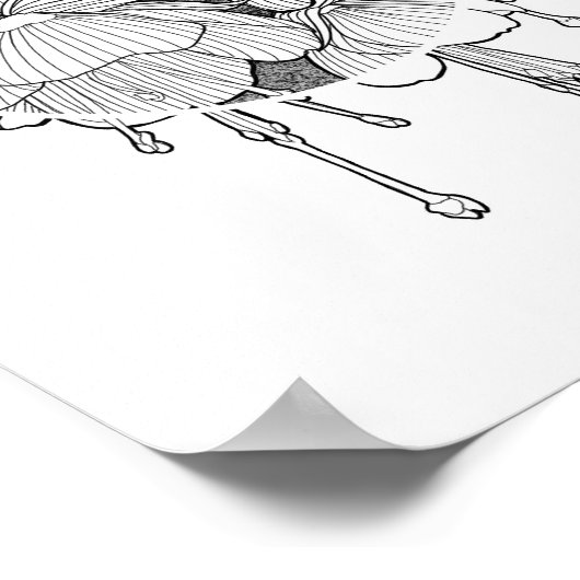 Neo Botanische Fuchsia Flower Poster (Hoek)