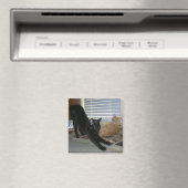 Neo en Isabelle magneet (Insitu (Vaatwasser))