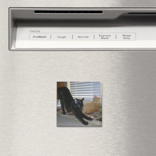 Neo en Isabelle magneet (Insitu (Vaatwasser))