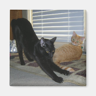 Neo en Isabelle magneet