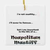 Neo Life Keramisch Ornament (Voorkant)