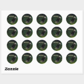 NEO Surveyor Asteroid Hunter Ronde Sticker (Vel)