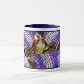 Neomarica Mok (Midden)