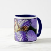 Neomarica Mok (Voorkant rechts)