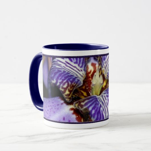 Neomarica Mok (Voorkant links)