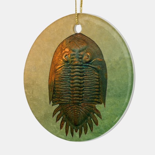 Neometacanthus Fossil Trilobite Keramisch Ornament (Links)